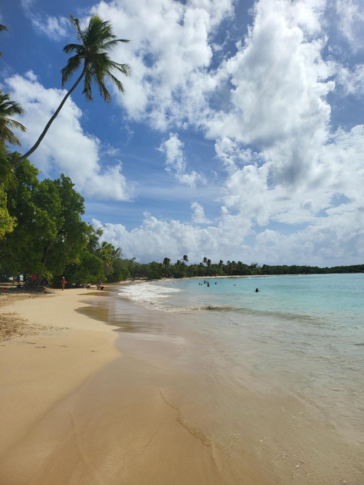 Apartamento Sud Madinina - Sainte Anne Exterior foto